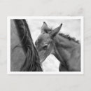 Search for mare postcards Animal