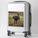 Search for black lab stickers Dog