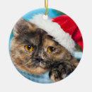 Search for tortie cat christmas tree decorations Kitty