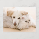 Search for affectionate postcards Togetherness