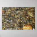 Search for brown abstract posters Stone
