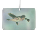 Search for sea turtle car air fresheners Blue
