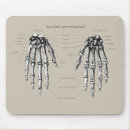 Search for skeleton hand electronics Bones