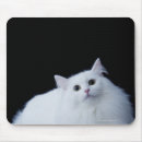 Search for siberian mouse mats Cat