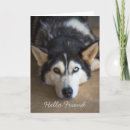Search for unique hello cards Thinking of you