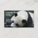 Search for panda business cards Wildlife