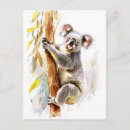 Search for australian koala postcards Tree