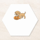 Search for buddy coasters Dog