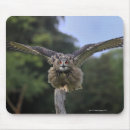 Search for full body mouse mats Looking at camera
