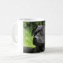 Search for staffordshire bull terrier mugs Staffie