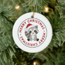 Search for raccoon christmas tree decorations Children