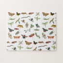Search for insect puzzles Pattern