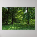 Search for springtime posters Woods