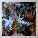 Search for melting art White