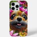 Search for shortness cases Chihuahua