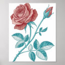 Search for etching posters Botanical