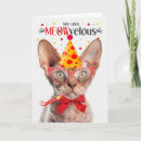 Search for devon cards Pets