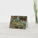 Search for backyard birds cards Cardinal