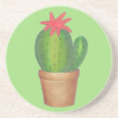 Search for cacti coasters Blossom