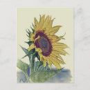 Search for shabby postcards Original