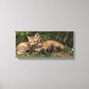 Search for kit canvas prints Fox