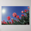 Search for garden view art Foliage