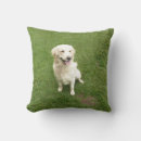 Search for golden retriever cushions Animal