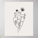 Search for anatomical heart art Anatomy