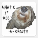 Search for snout stickers Dog