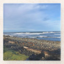 Search for driftwood coasters Waves