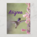 Search for birder vertical postcards Animal