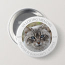 Search for cat bereavement gifts Funeral