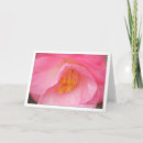 Search for soft rose cards Nature