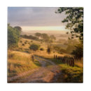 Search for countryside tiles Road