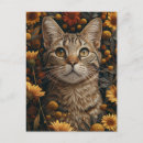 Search for bengal cats postcards Kitty