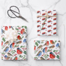 Search for cardinal wrapping paper Red and white