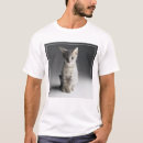Search for looking front Cat