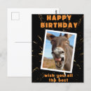 Search for anniversary wishes cards invites Funny