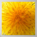 Search for zooming posters Bright