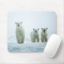 Search for three animals mouse mats Animals in the wild