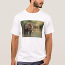 Search for katmai national park tshirts mammal
