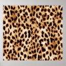 Search for white leopard posters Background