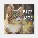 Search for biting square magnets Cat