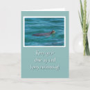 Search for sea turtle cards Swimming