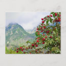 Search for tatra postcards Slovakia