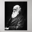 Search for darwin posters Scientist
