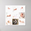 Search for pet portraits Modern