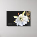 Search for dramatic canvas prints Photography