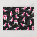 Search for pink parrot postcards Australia