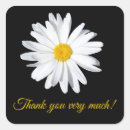 Search for shasta daisy flower stickers White